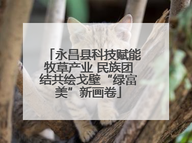永昌县科技赋能牧草产业 民族团结共绘戈壁“绿富美”新画卷