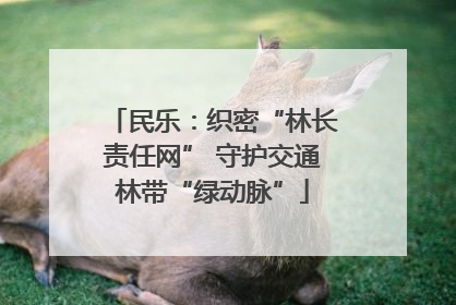 民乐：织密“林长责任网” 守护交通林带“绿动脉”
