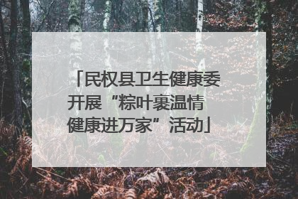 民权县卫生健康委开展“粽叶裹温情 健康进万家”活动