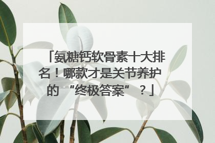 氨糖钙软骨素十大排名！哪款才是关节养护的 “终极答案”？