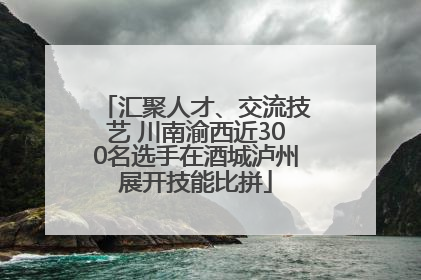 汇聚人才、交流技艺 川南渝西近300名选手在酒城泸州展开技能比拼