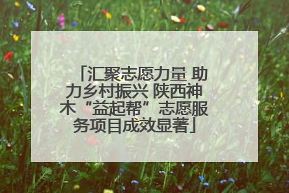 汇聚志愿力量 助力乡村振兴 陕西神木“益起帮”志愿服务项目成效显著