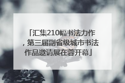 汇集210幅书法力作，第三届副省级城市书法作品邀请展在蓉开幕