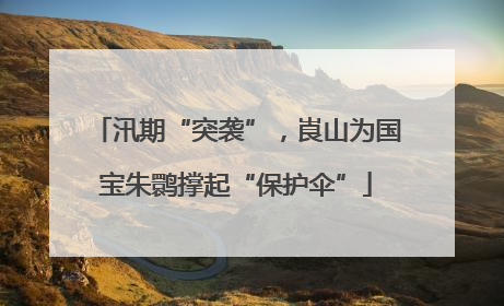 汛期“突袭”，崀山为国宝朱鹮撑起“保护伞”