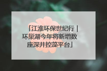 江淮环保世纪行｜环巢湖今年将新增数座深井控藻平台