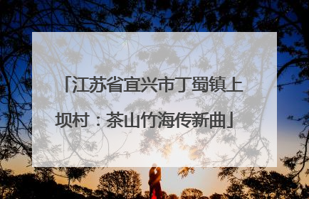 江苏省宜兴市丁蜀镇上坝村：茶山竹海传新曲