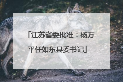 江苏省委批准：杨万平任如东县委书记