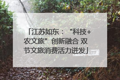 江苏如东：“科技+农文旅”创新融合 双节文旅消费活力迸发