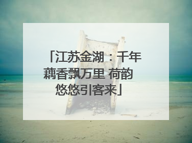 江苏金湖：千年藕香飘万里 荷韵悠悠引客来