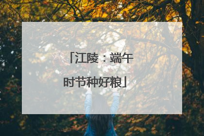 江陵：端午时节种好粮