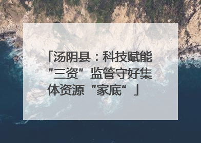 汤阴县：科技赋能“三资”监管守好集体资源“家底”