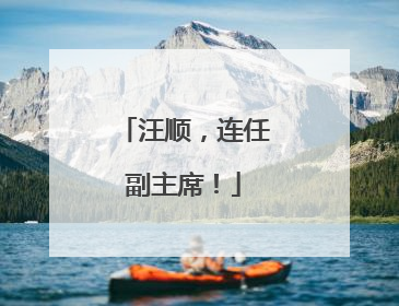 汪顺，连任副主席！