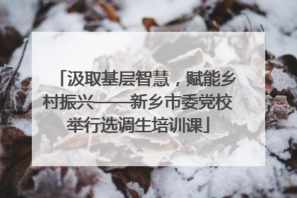 汲取基层智慧，赋能乡村振兴——新乡市委党校举行选调生培训课