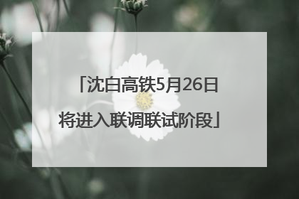 沈白高铁5月26日将进入联调联试阶段