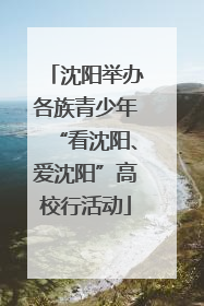 沈阳举办各族青少年“看沈阳、爱沈阳”高校行活动