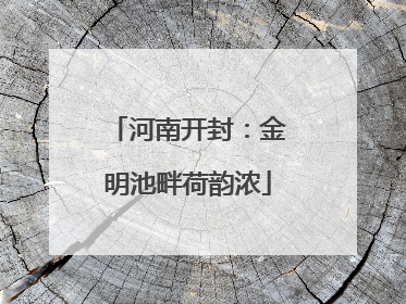 河南开封：金明池畔荷韵浓