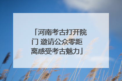 河南考古打开院门 邀请公众零距离感受考古魅力