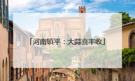 河南镇平：大蒜喜丰收