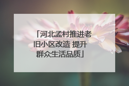 河北孟村推进老旧小区改造 提升群众生活品质