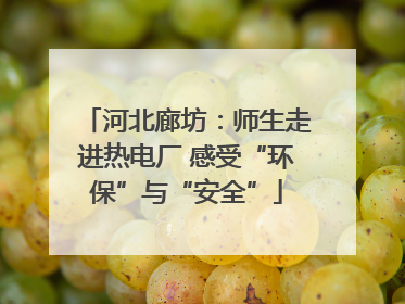 河北廊坊：师生走进热电厂 感受“环保”与“安全”