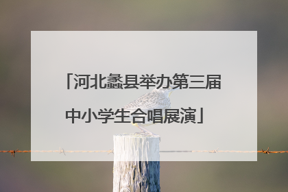 河北蠡县举办第三届中小学生合唱展演
