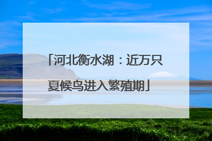 河北衡水湖：近万只夏候鸟进入繁殖期