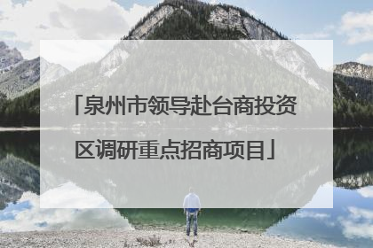 泉州市领导赴台商投资区调研重点招商项目