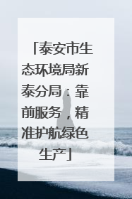 泰安市生态环境局新泰分局：靠前服务，精准护航绿色生产