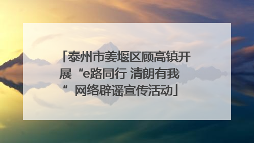 泰州市姜堰区顾高镇开展“e路同行 清朗有我”网络辟谣宣传活动