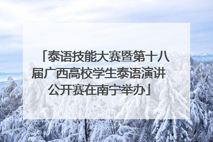 泰语技能大赛暨第十八届广西高校学生泰语演讲公开赛在南宁举办