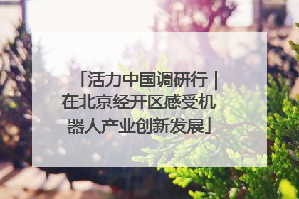 活力中国调研行｜在北京经开区感受机器人产业创新发展