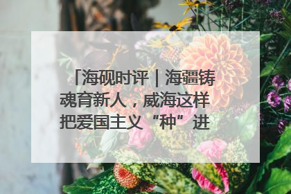 海砚时评｜海疆铸魂育新人，威海这样把爱国主义“种”进年轻人心里