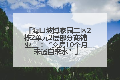 海口坡博家园二区2栋2单元2层部分商铺业主：“交房10个月未通自来水”