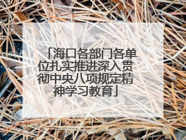 海口各部门各单位扎实推进深入贯彻中央八项规定精神学习教育