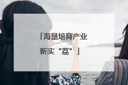 海垦培育产业新实“荔”