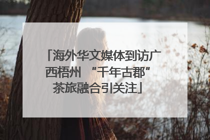 海外华文媒体到访广西梧州 “千年古郡”茶旅融合引关注