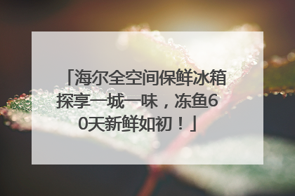 海尔全空间保鲜冰箱探享一城一味，冻鱼60天新鲜如初！