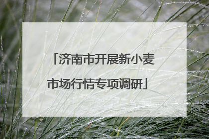 济南市开展新小麦市场行情专项调研