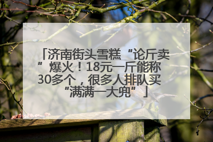 济南街头雪糕“论斤卖”爆火！18元一斤能称30多个，很多人排队买“满满一大兜”