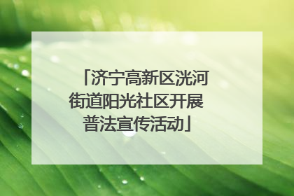 济宁高新区洸河街道阳光社区开展普法宣传活动
