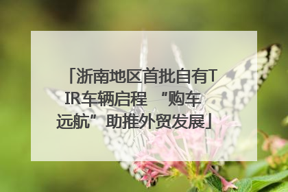 浙南地区首批自有TIR车辆启程 “购车远航”助推外贸发展