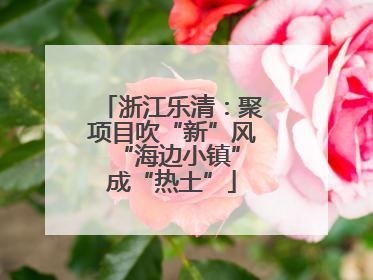 浙江乐清：聚项目吹“新”风 “海边小镇”成“热土”