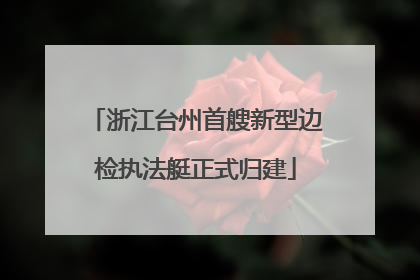 浙江台州首艘新型边检执法艇正式归建