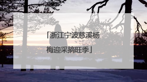 浙江宁波慈溪杨梅迎采摘旺季