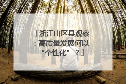 浙江山区县观察：高质量发展何以“个性化”？