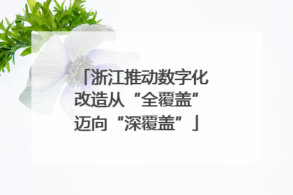 浙江推动数字化改造从“全覆盖”迈向“深覆盖”