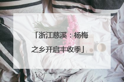 浙江慈溪：杨梅之乡开启丰收季
