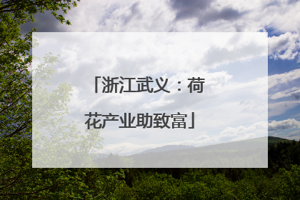 浙江武义：荷花产业助致富