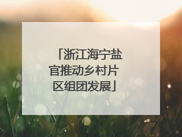 浙江海宁盐官推动乡村片区组团发展