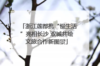浙江莲都携“慢生活”亮相长沙 双城共绘文旅合作新图景